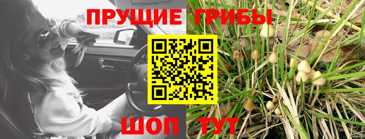 Галлюциногенные грибы мухоморы Вязники