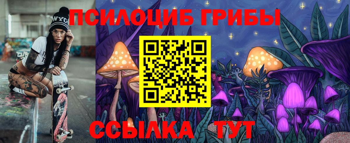 Псилоцибиновые грибы Cubensis  купить наркоту  Вязники  Вход с VPN 